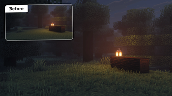 Night Forest