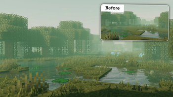 Swamp