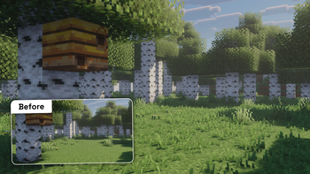 Birch Forest