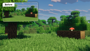 Grassrise - Before & After