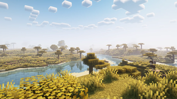 Shader Support