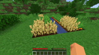 Chain harvest