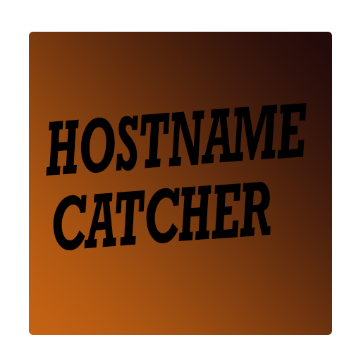 Hostname Catcher