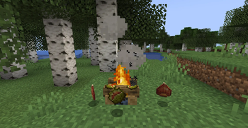 New foodstuff!