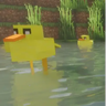 Ducky Quack Pack
