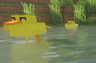 Ducky Quack Pack