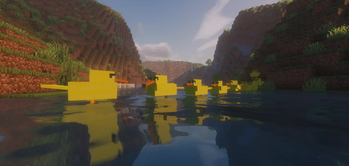 more ducks in a pond