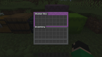 Shulker Box