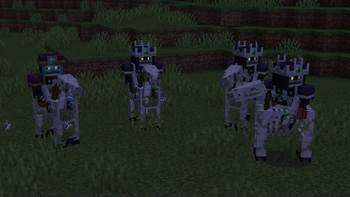 Skeleton Horsemen