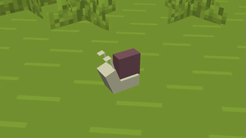 Snail