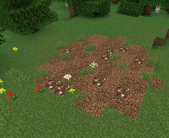 Remnant Coarse Dirt Patches! 