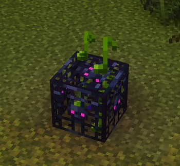 Note Particles