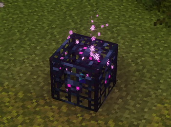 Nether Portal Particles