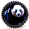 All in One: Create Panda