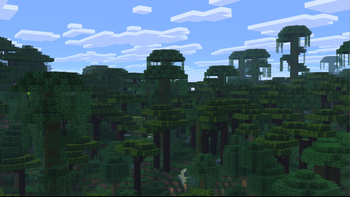Rainforest