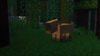 Capybara