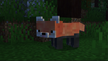 Red Panda