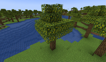 new biome