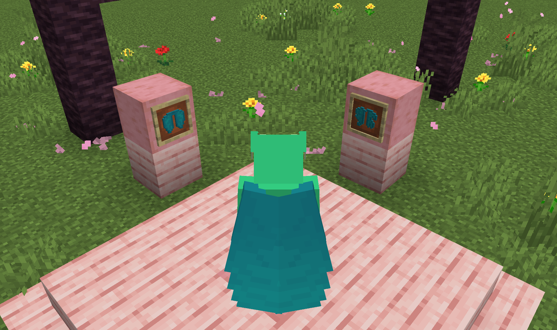 Screenshot demonstrating Resource Pack