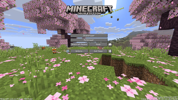 Panorama preview