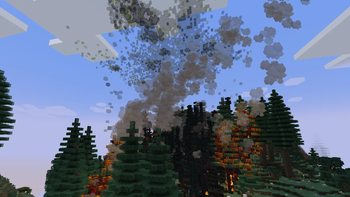 Forest Fire