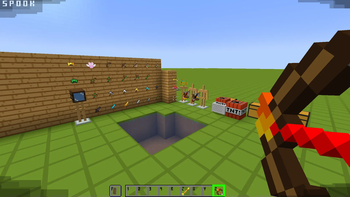 Image of some features