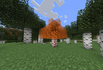 Fire Birch Tree