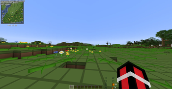 A new world