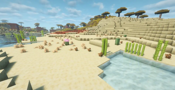 Desert