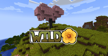 Pack Logo