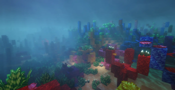 Coral and Kelp