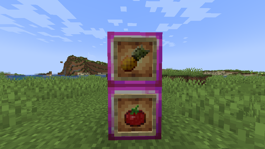 Pineapple and Tomato