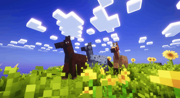 horsey neeeiiigh horsie