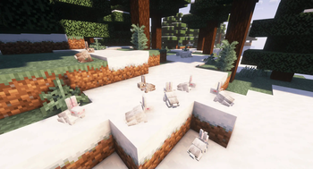 Snowy rabbits.
