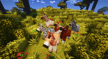 Zebras I guess.