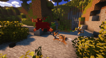 Wild dogs.