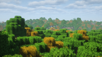 Forest w/ Better Leaves and Shaders