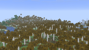 Birch Forest