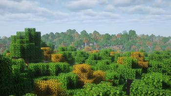 Forest w/ Shaders