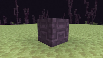 Enhanced Shulkers x Fresh Animations