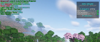 While on Server