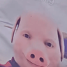 Pig god calling diamond