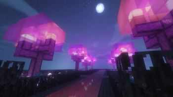 C:Arcadia/hub/trees.jpg