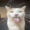 Custom Names