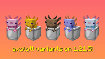 Axolotl Variants