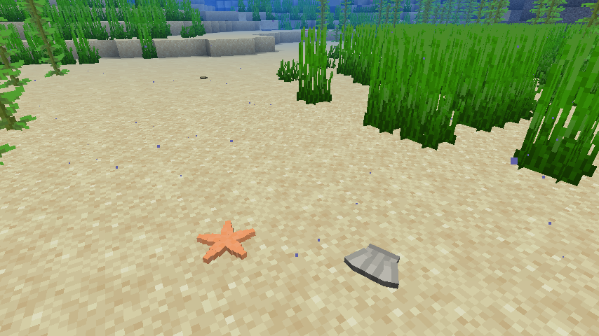 Starfish and Seashell on the bottom of an ocean