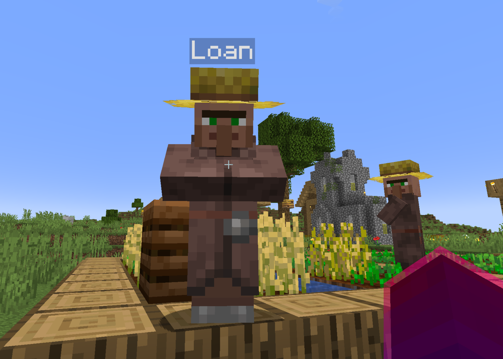 A screenshot of a farmer villager named Loan