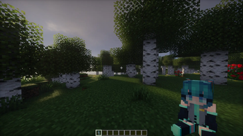 Custom Skin Preview