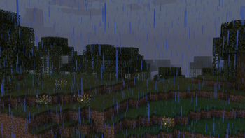 Swamp Fog