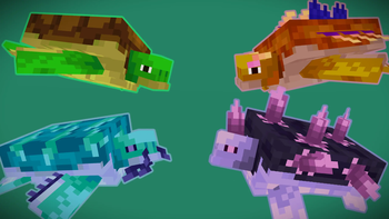 Turtles